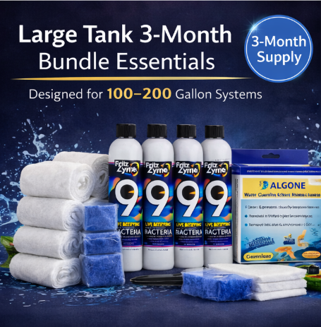Large Tank 3-Month Bundle Essentials